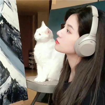 汤姆猫与杰利鼠:魔戒